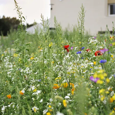 Hotel Sure By Western