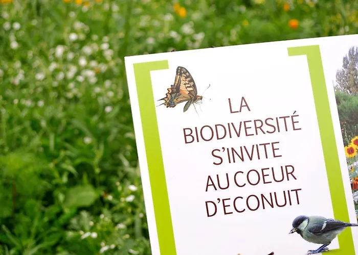 Sure By Western Hotel Guérande