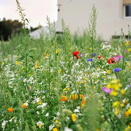 Hotel Eco Nuit La Baule