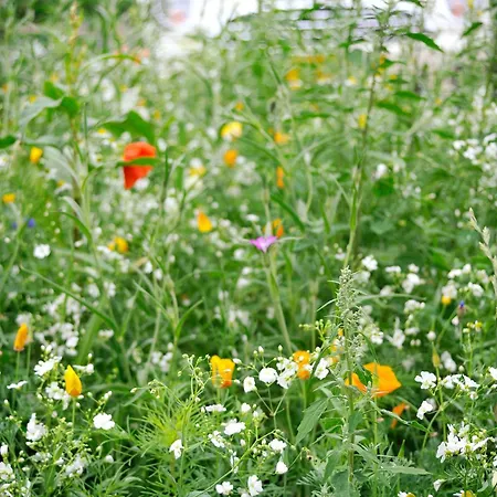 Sure By Western فندق Guérande